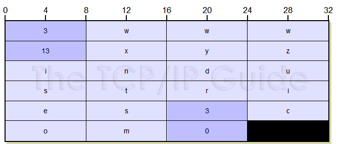 dnsnameformat.png